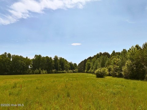 Land, Beulaville, NC