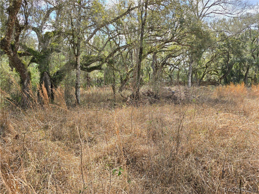 Double Corner Lot Opportunity