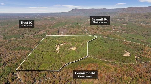 92.81 Acres of Agricultural Land