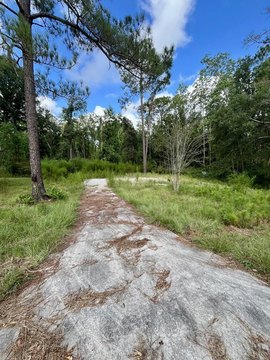 Land, Douglas, GA