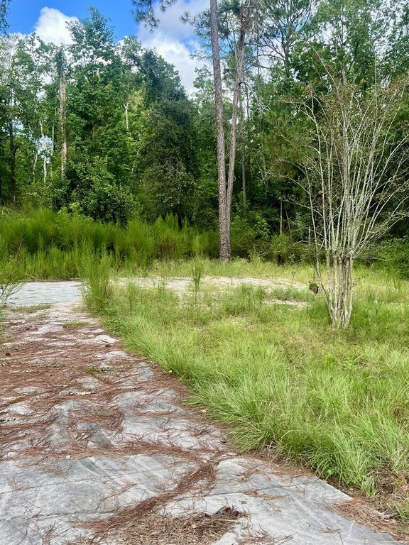 Picture 2