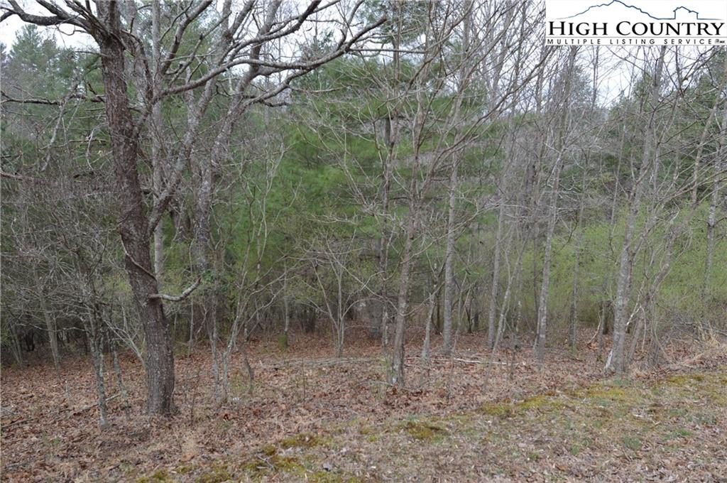 Wooded Lot in Gated Community