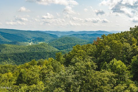 Unrestricted Wooded Land Tract