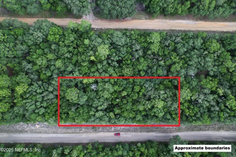 Wooded Lots in Florahome, FL