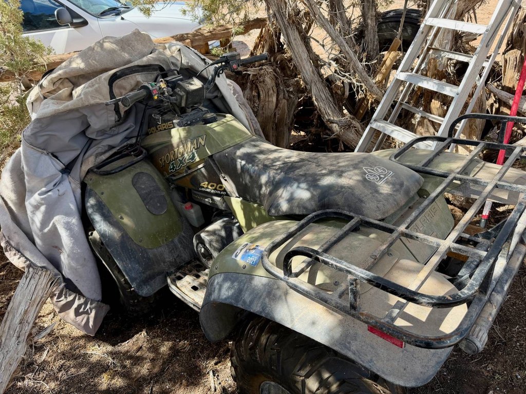 Picture 28
