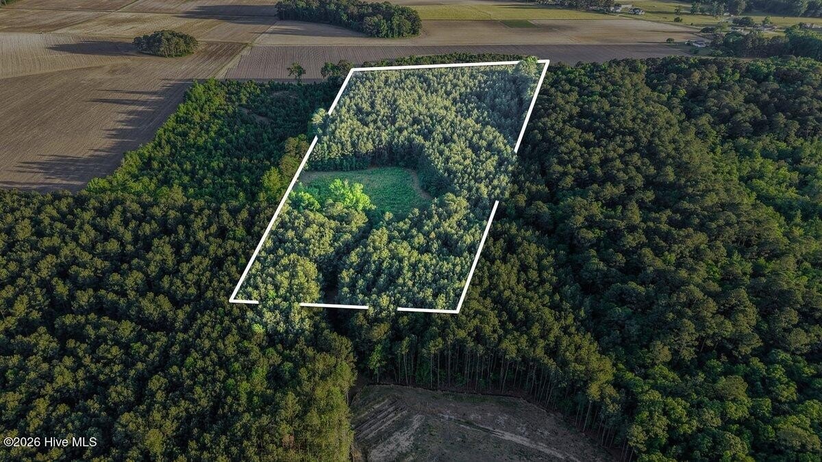 17 Acres in Princeton, NC