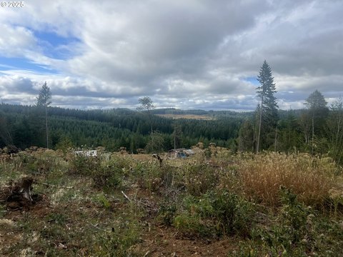 Elmira Land with Utilities