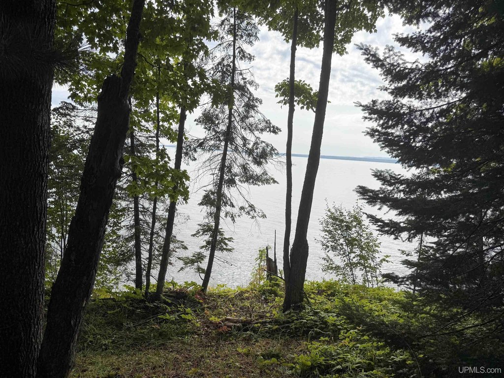 Picture 8