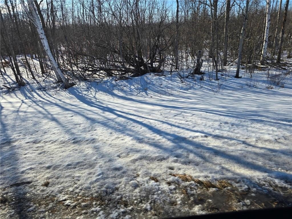 Picture 7