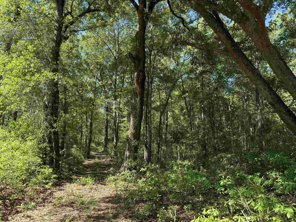 Picture 24