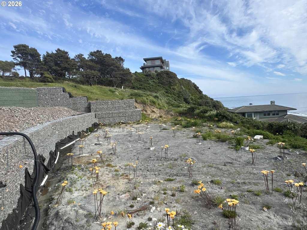 Picture 12