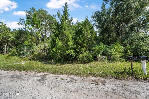 Oak Hill Vacant Land
