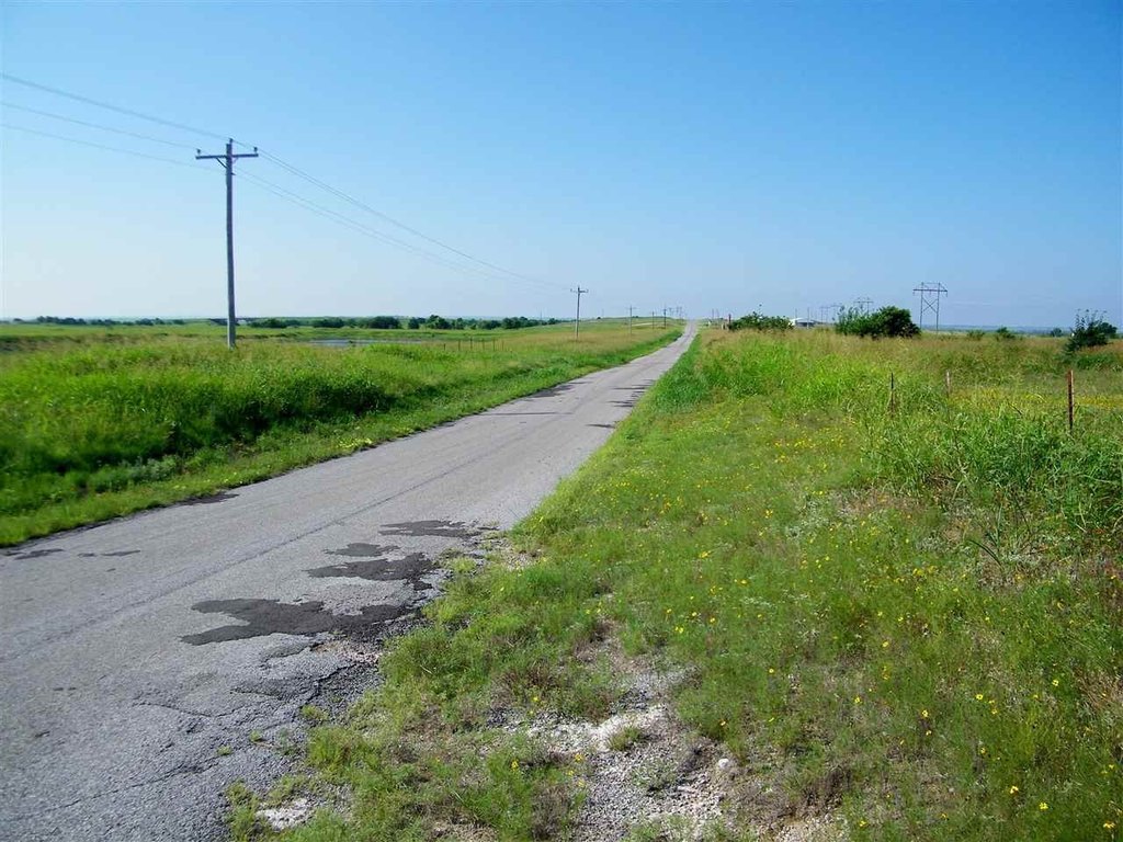 Picture 48