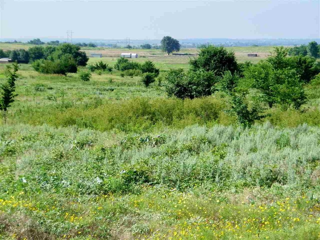 Picture 21