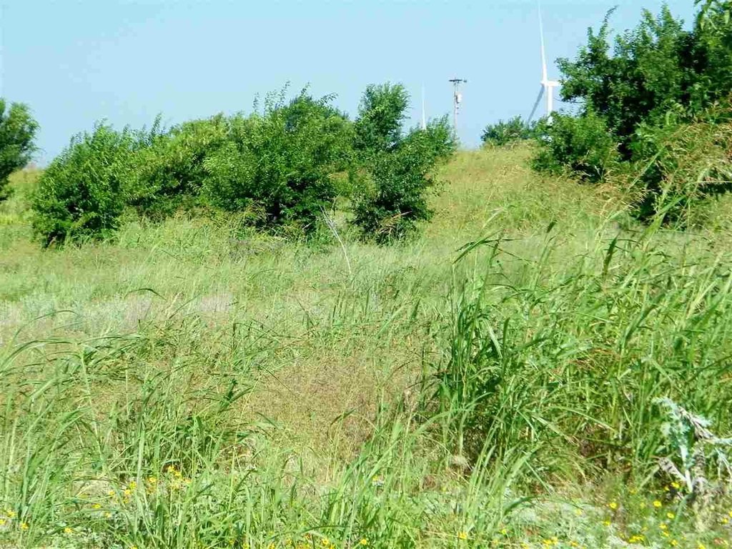 Picture 45