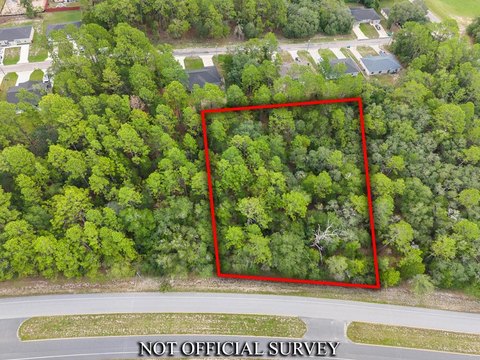 LAND - Dunnellon, FL