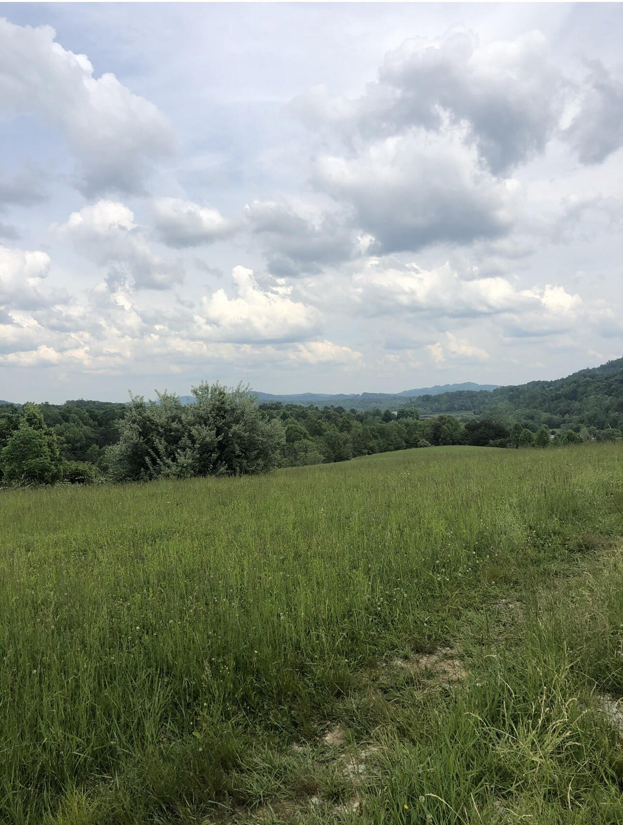 Residential Land in Corbin, KY