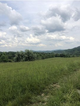 Residential Land in Corbin, KY