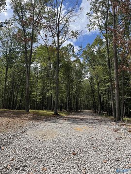 Huntsville Land with Brow Views