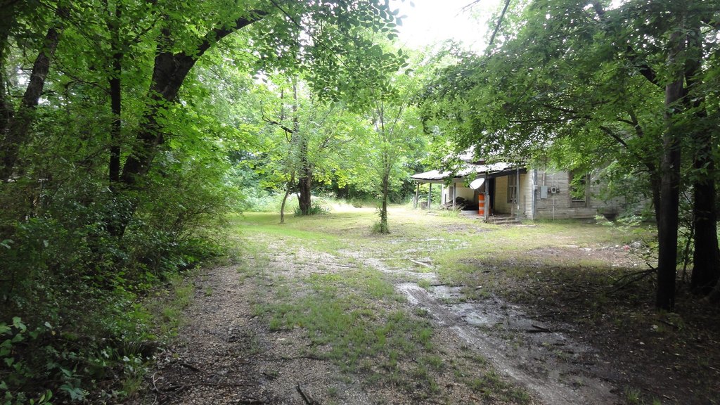 Picture 6