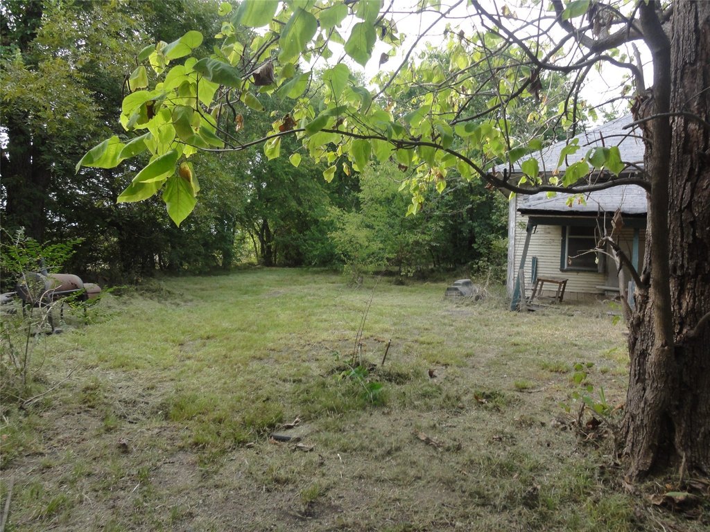 Picture 5