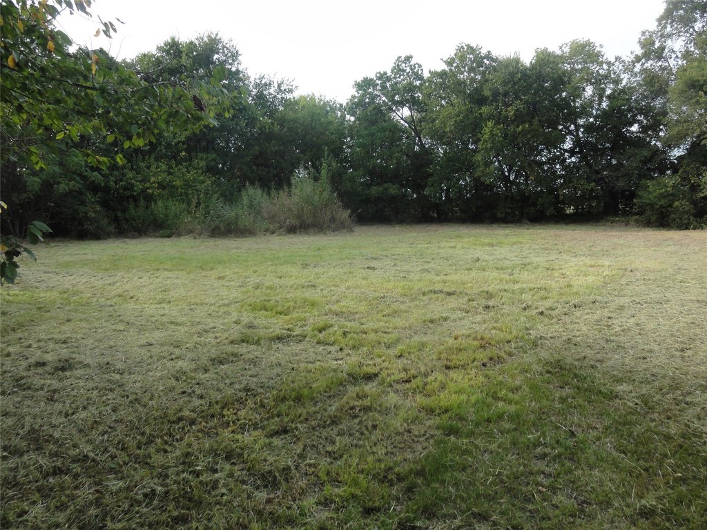 Picture 14