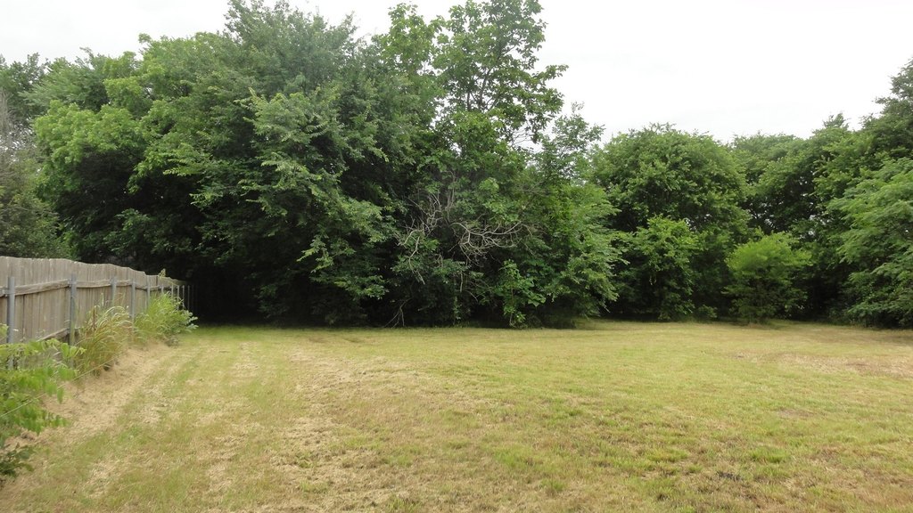 Picture 12