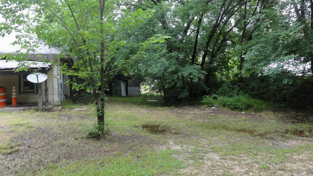 Picture 3