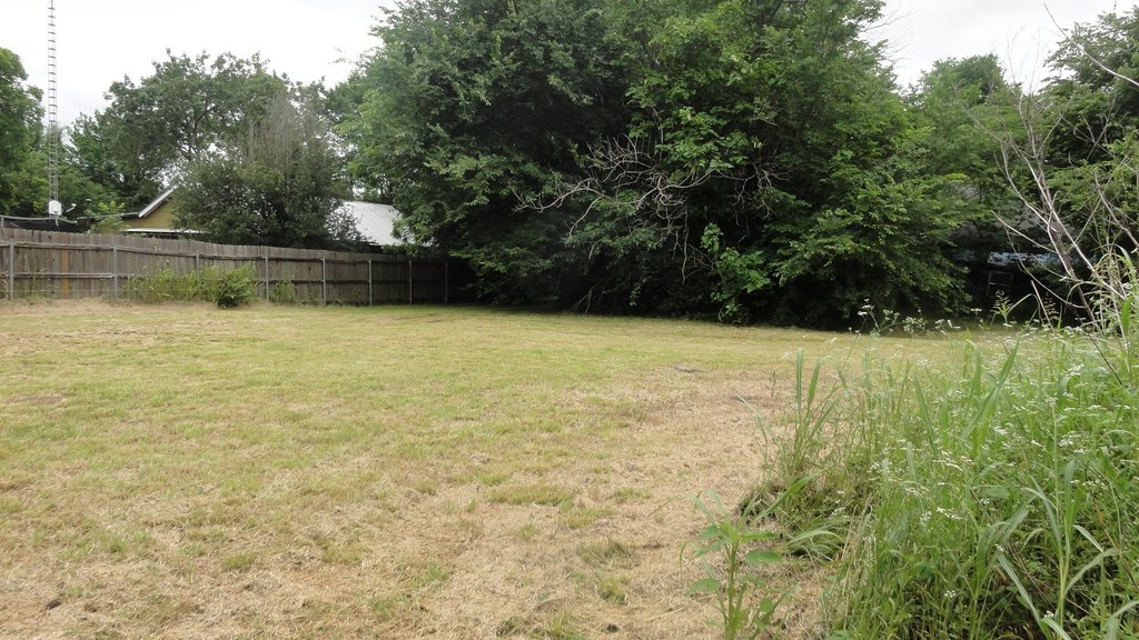Picture 13