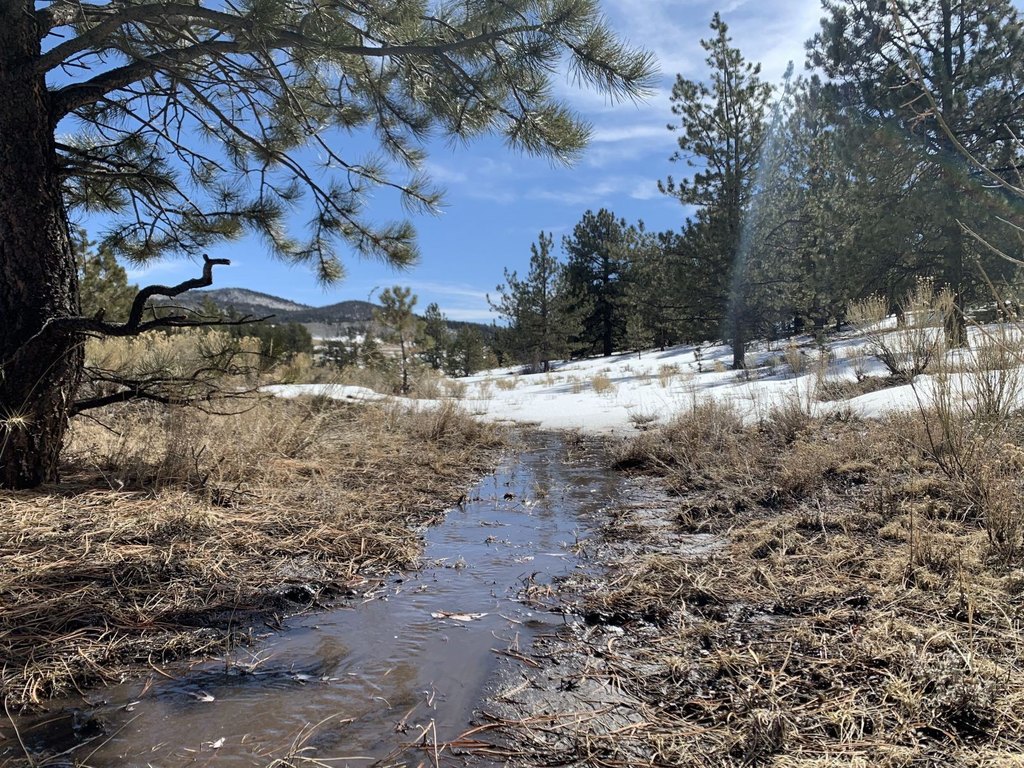 Picture 16