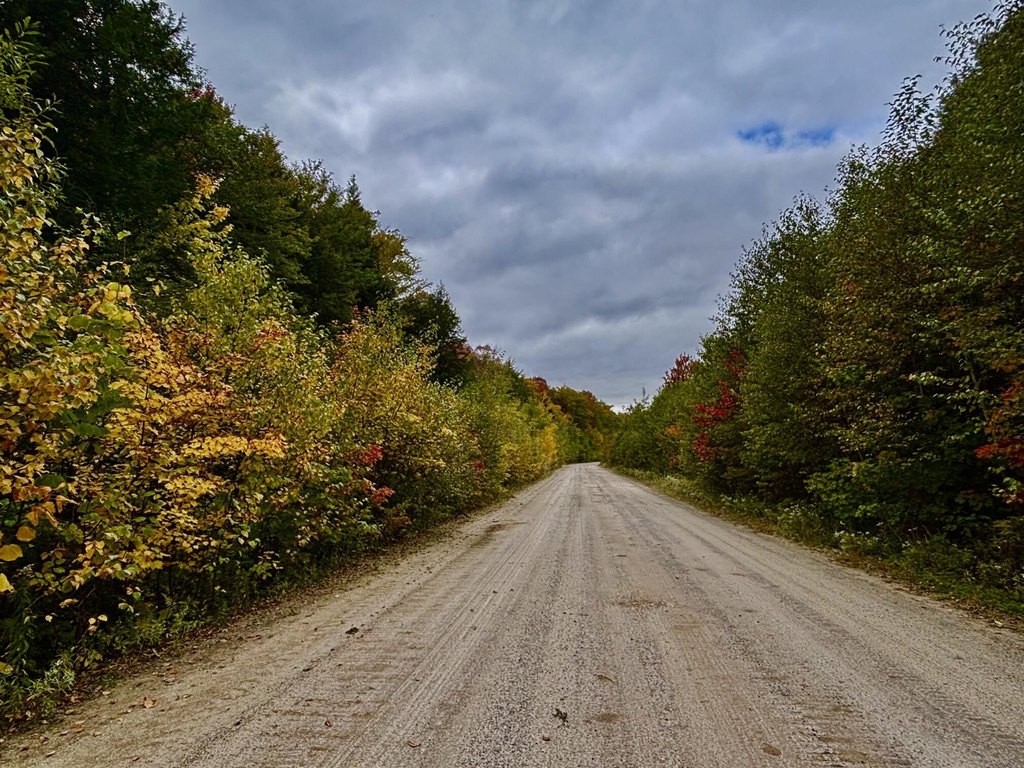 Picture 2