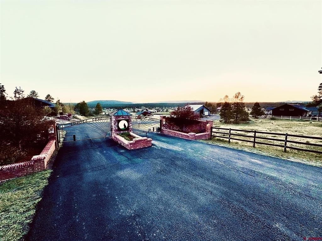 Picture 11