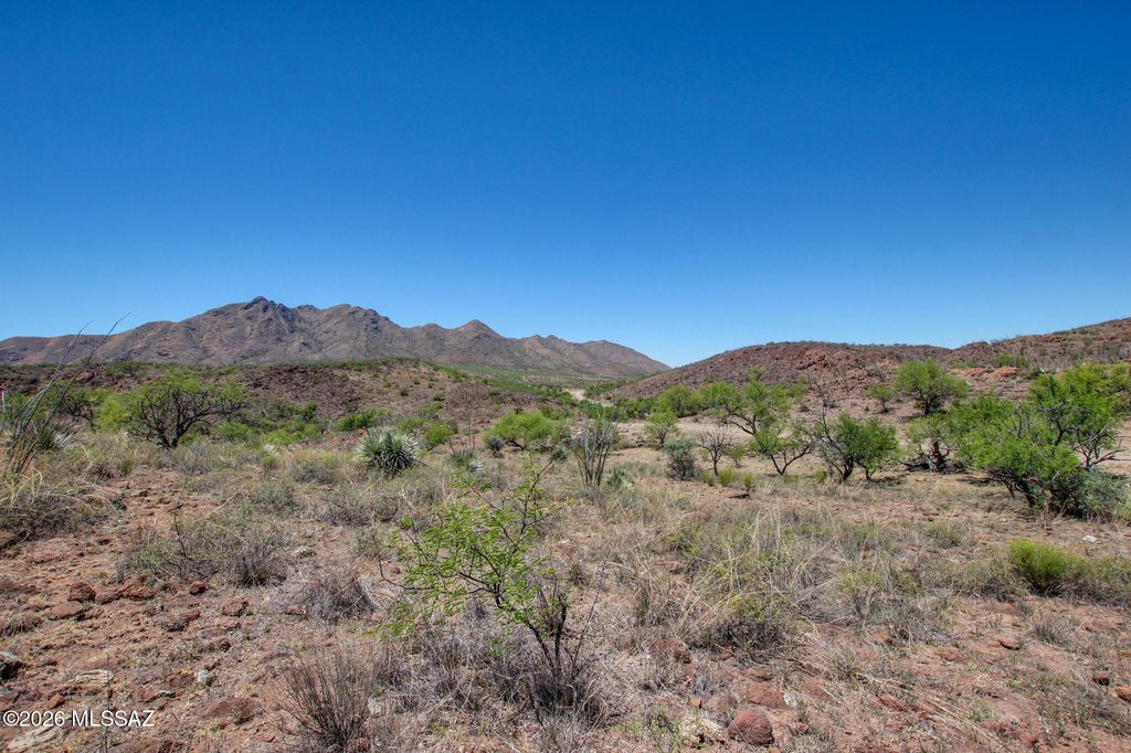Picture 46