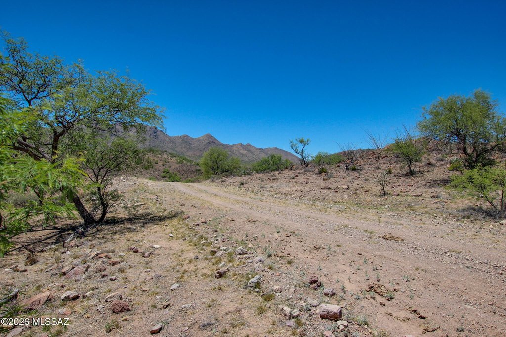 Picture 41