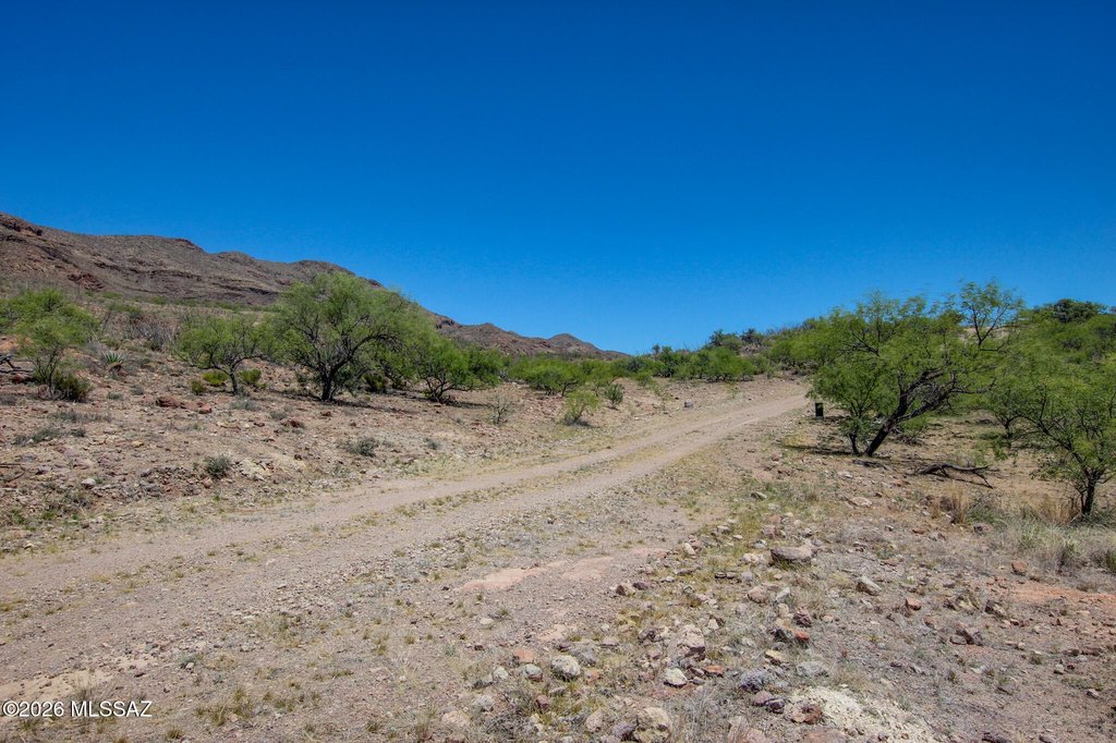 Picture 40