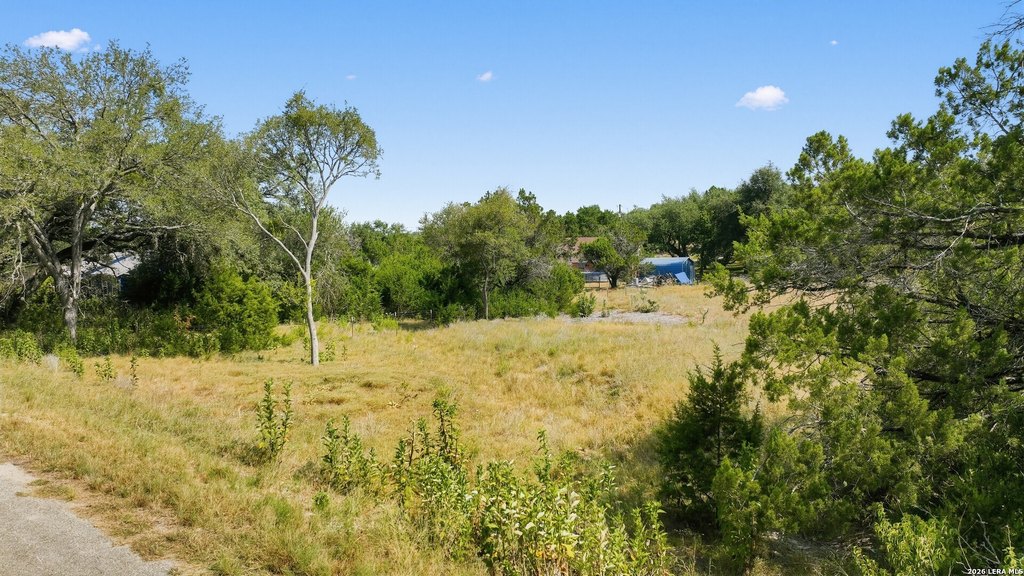 Picture 17
