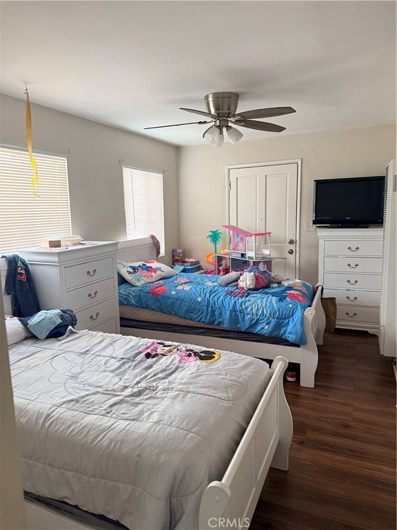 Picture 17