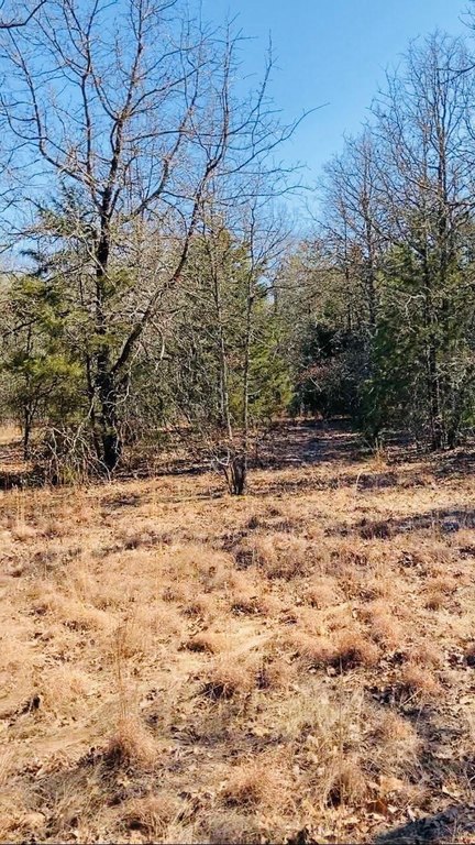 Picture 6