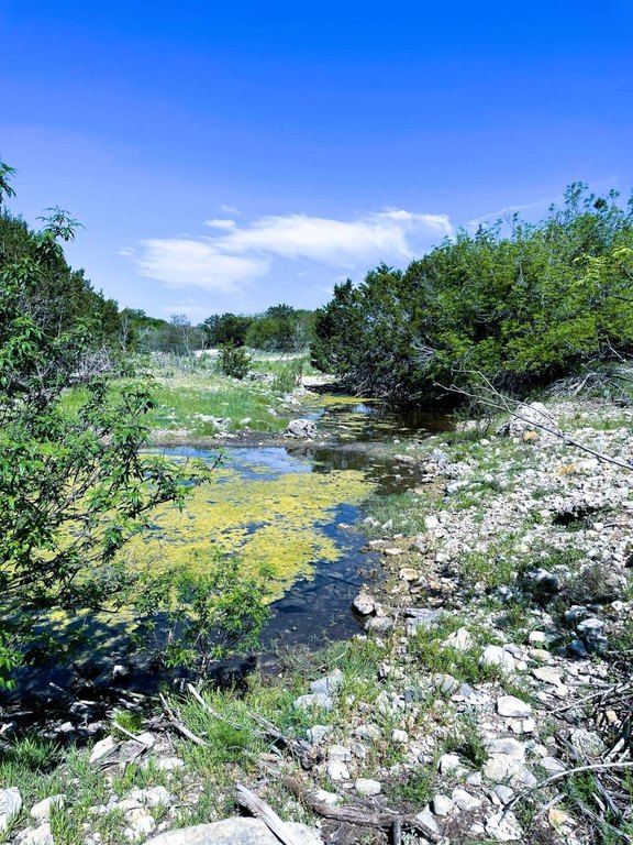 Picture 24