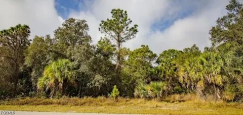 LAND - Port Charlotte, FL