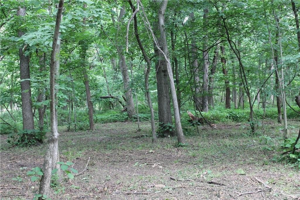 Picture 3