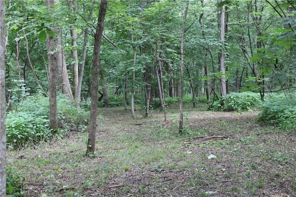 Picture 14