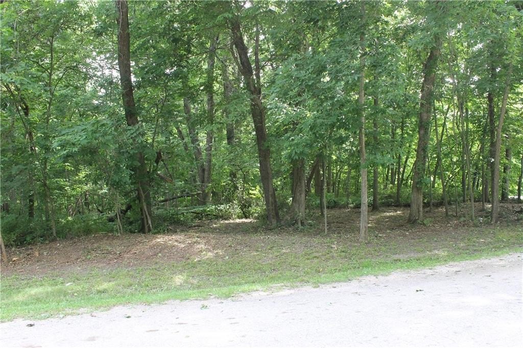Picture 5