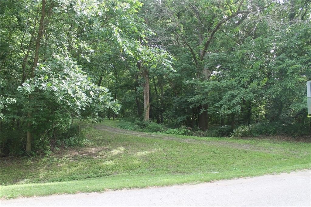 Picture 13