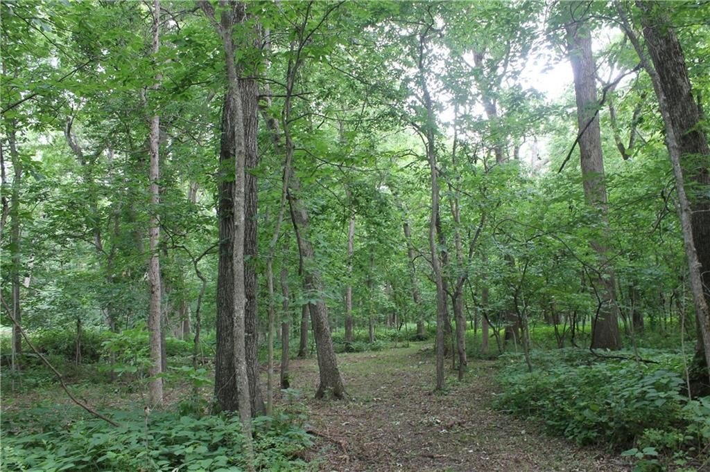 Picture 12
