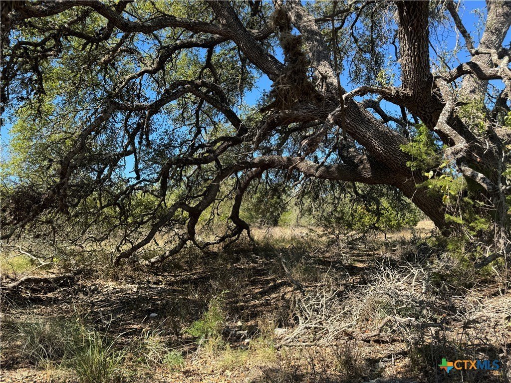 Oversized Lot in Texas Wine Area