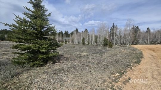 Picture 9