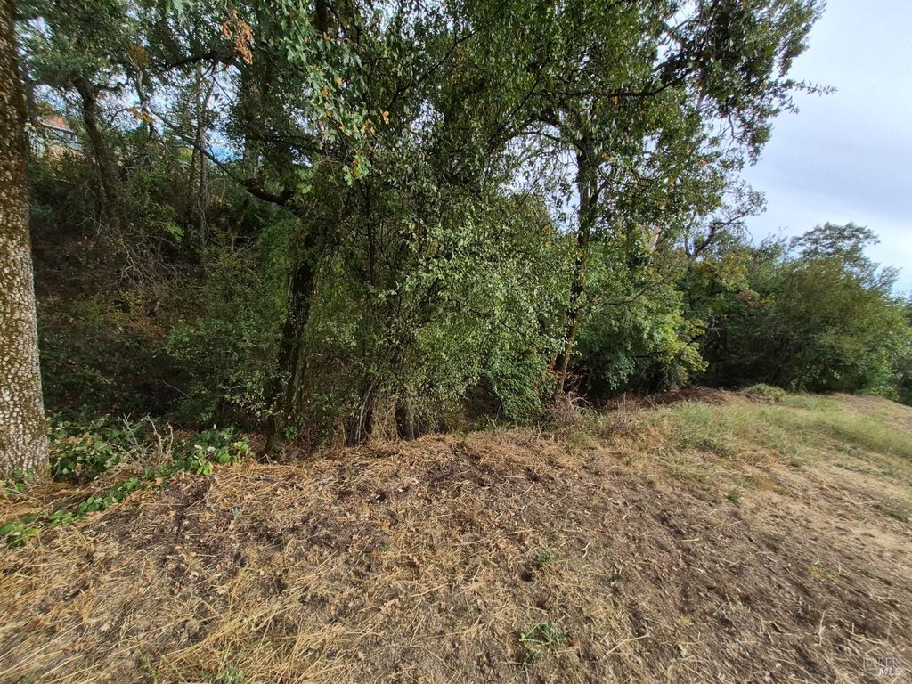 Picture 40