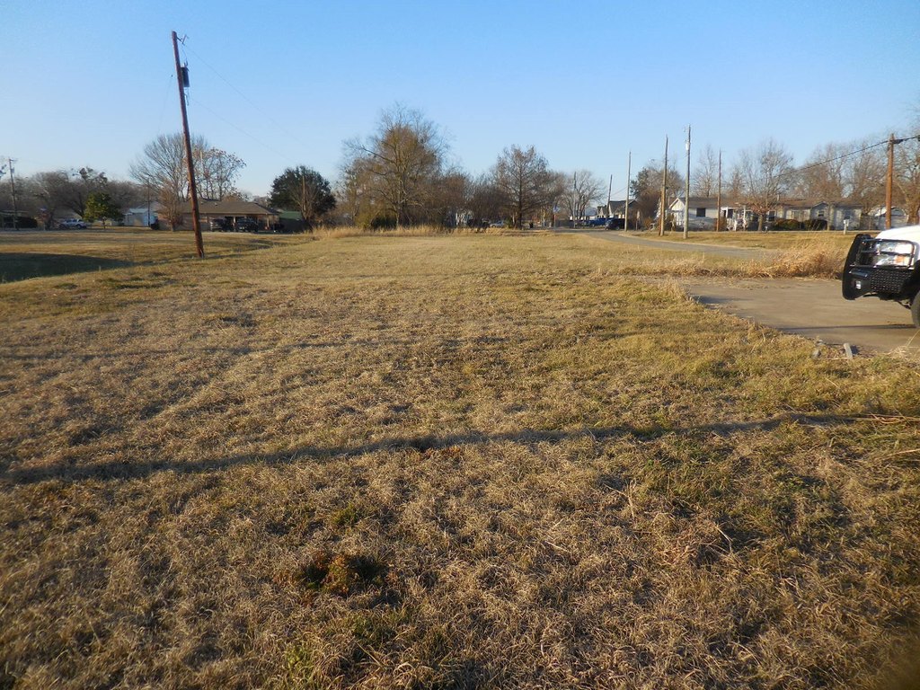 Picture 4