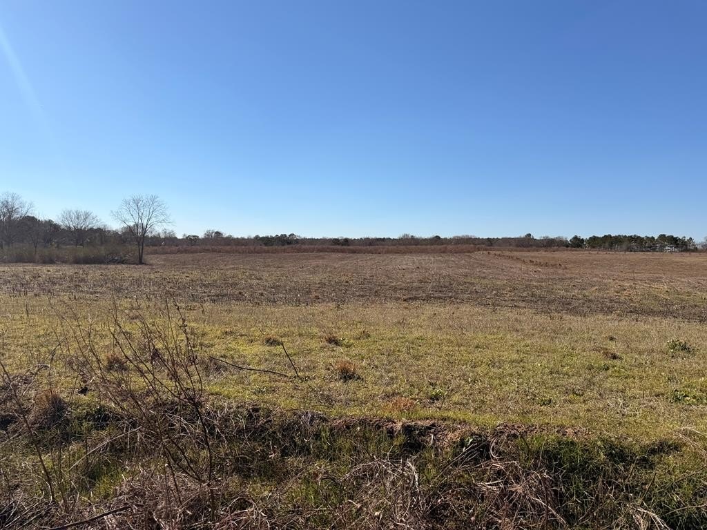 Residential Land in Quiet Setting